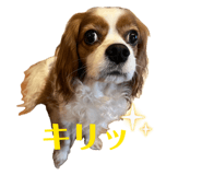 840989844