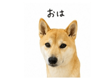 840989961