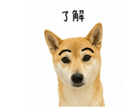 840989966