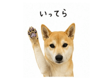 840989968