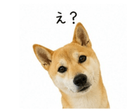 840989974
