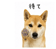 840989975