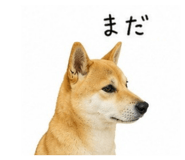 840989976