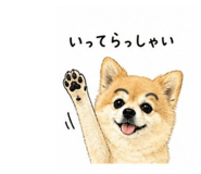 840989986