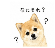 840989992