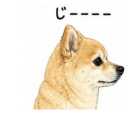 840989995