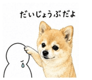 840989998