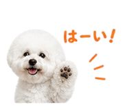 840990080