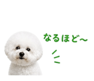 840990092