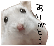 840990269