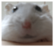 840990274