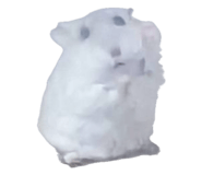 840990285