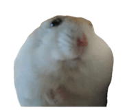 840990295
