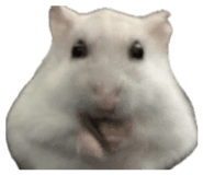 840990300