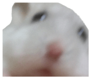 840990304