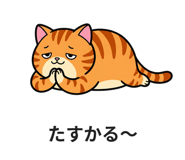 840990824