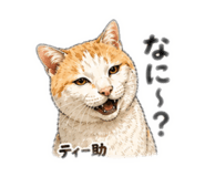 840990971