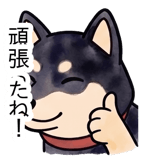 840991652