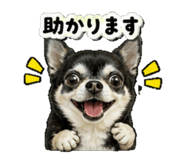 840991845