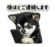 840991849