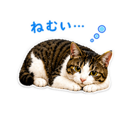 840992326