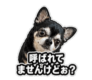 840992428