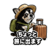 840992433