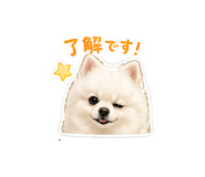 840992834
