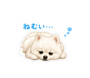 840992838
