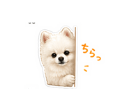 840992844