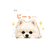 840992847