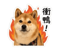 840993905