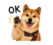 840993915