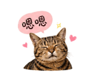 840995828