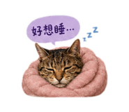 840995832