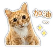 840996362