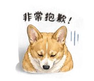 840997416