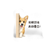 840997420