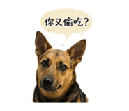 840997473