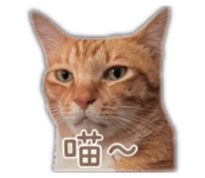 840998004