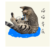 840998342