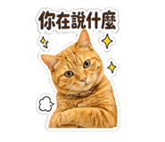 840998370