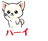 840999025