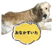 840999244