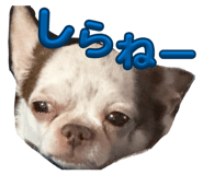 840999355