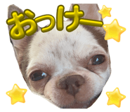 840999357