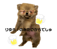 840999608