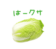 840999658