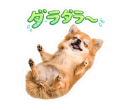 840999730