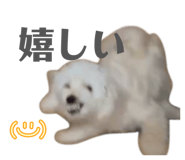 840999778